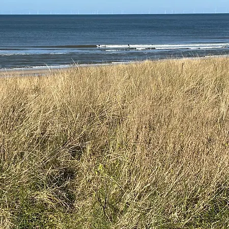 Seaside Petten
